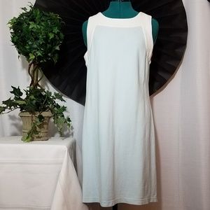 ☀️Izod shift dress